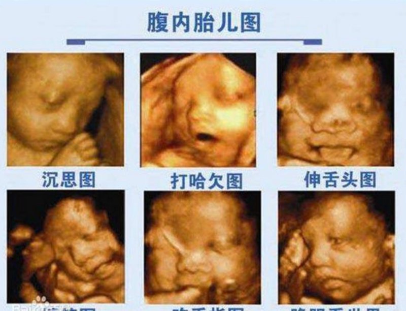 女性呵护之选:妇产医院发展现状与趋势